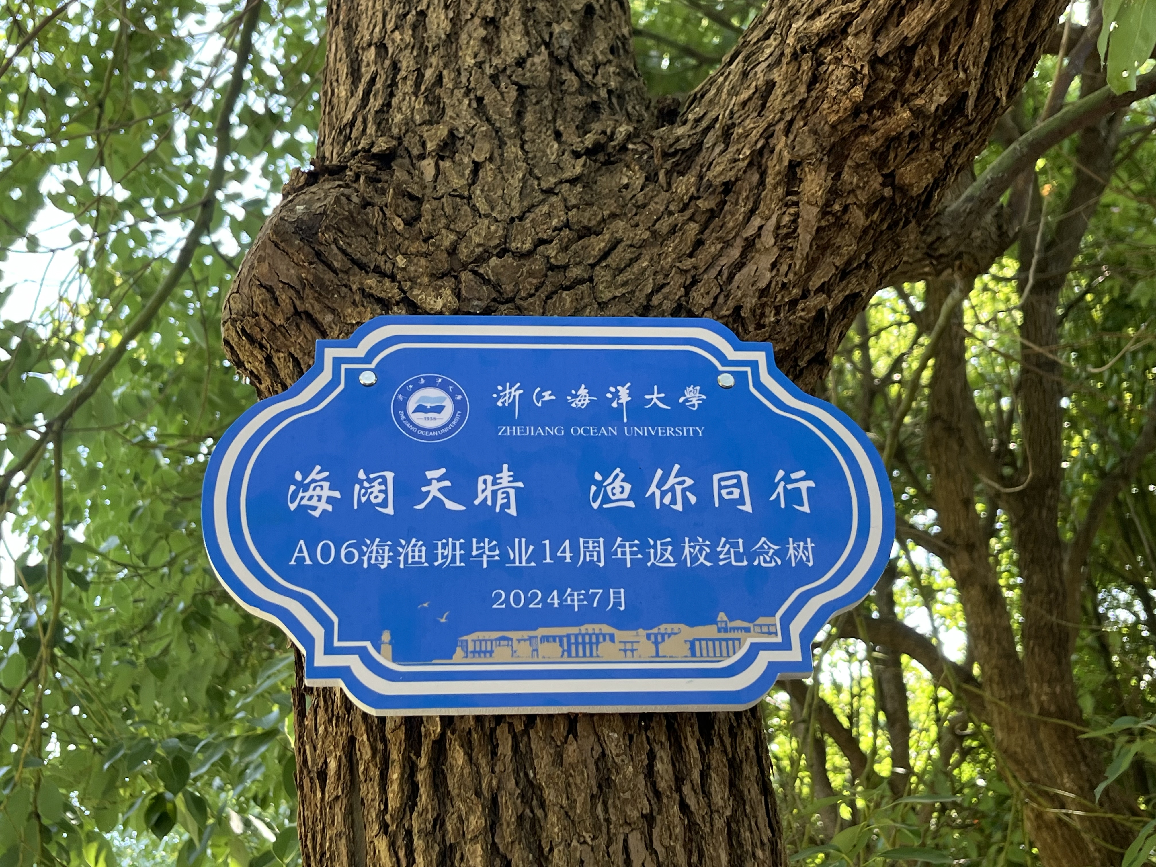 3d4948e5d0226b1a72f5a7274417d94.jpg 3d4948e5d0226b1a72f5a7274417d94.jpg