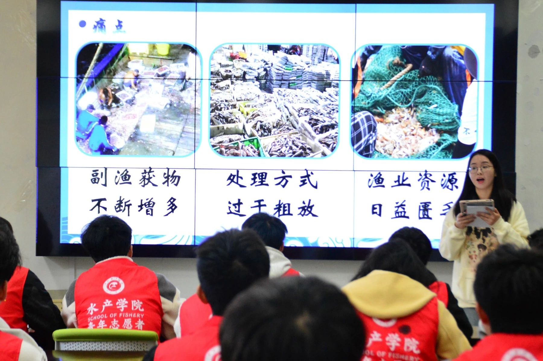 8116a689f3b32a5cc23fb6ba2dd236be.jpg 8116a689f3b32a5cc23fb6ba2dd236be.jpg