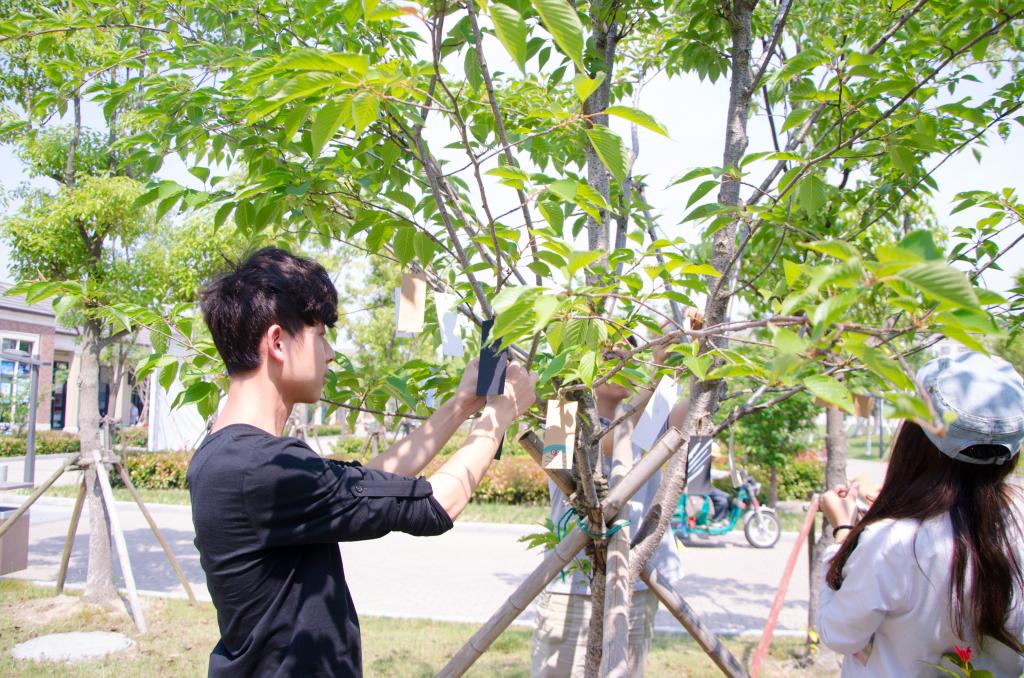 学院领导与同学们一起悬挂活动中制作的书签